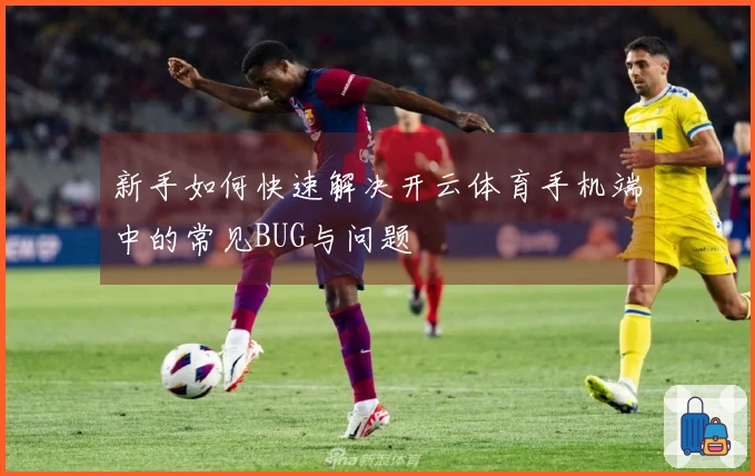 新手如何快速解决开云体育手机端中的常见BUG与问题