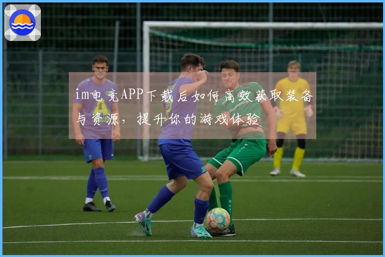im电竞APP下载后如何高效获取装备与资源，提升你的游戏体验