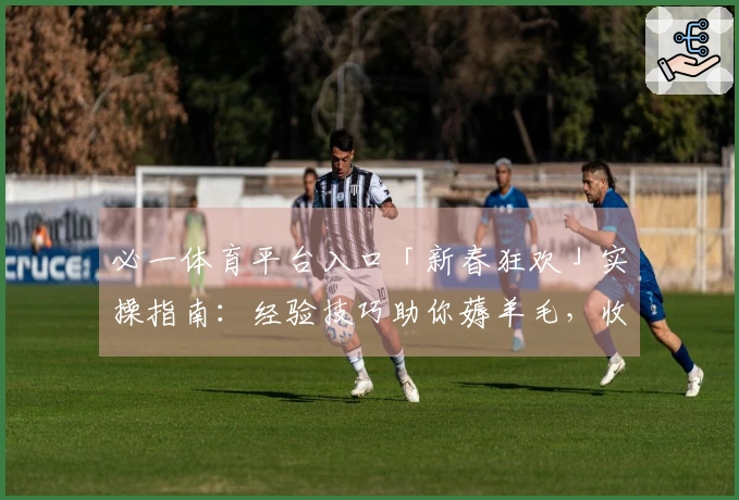 必一体育平台入口「新春狂欢」实操指南：经验技巧助你薅羊毛，收益翻倍不是梦