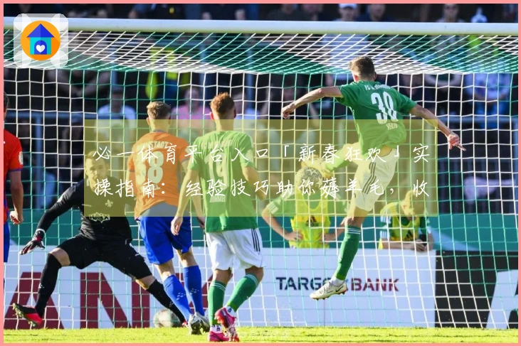 必一体育平台入口「新春狂欢」实操指南：经验技巧助你薅羊毛，收益翻倍不是梦